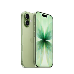 iPhone 17 512 Sage (Европа, Индия, Сингапур)